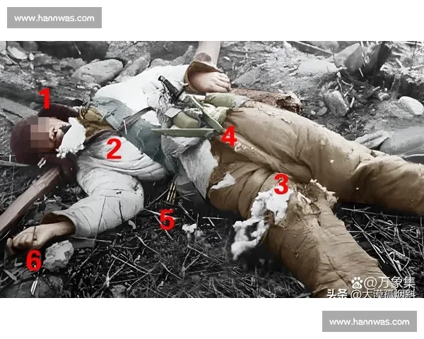 老将的坚持与伤病缠斗，致敬赛场上的每一位战士