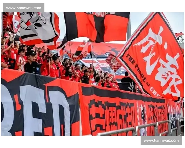 反转！成都球迷勇斗 “人贩” 竟是醉酒误认